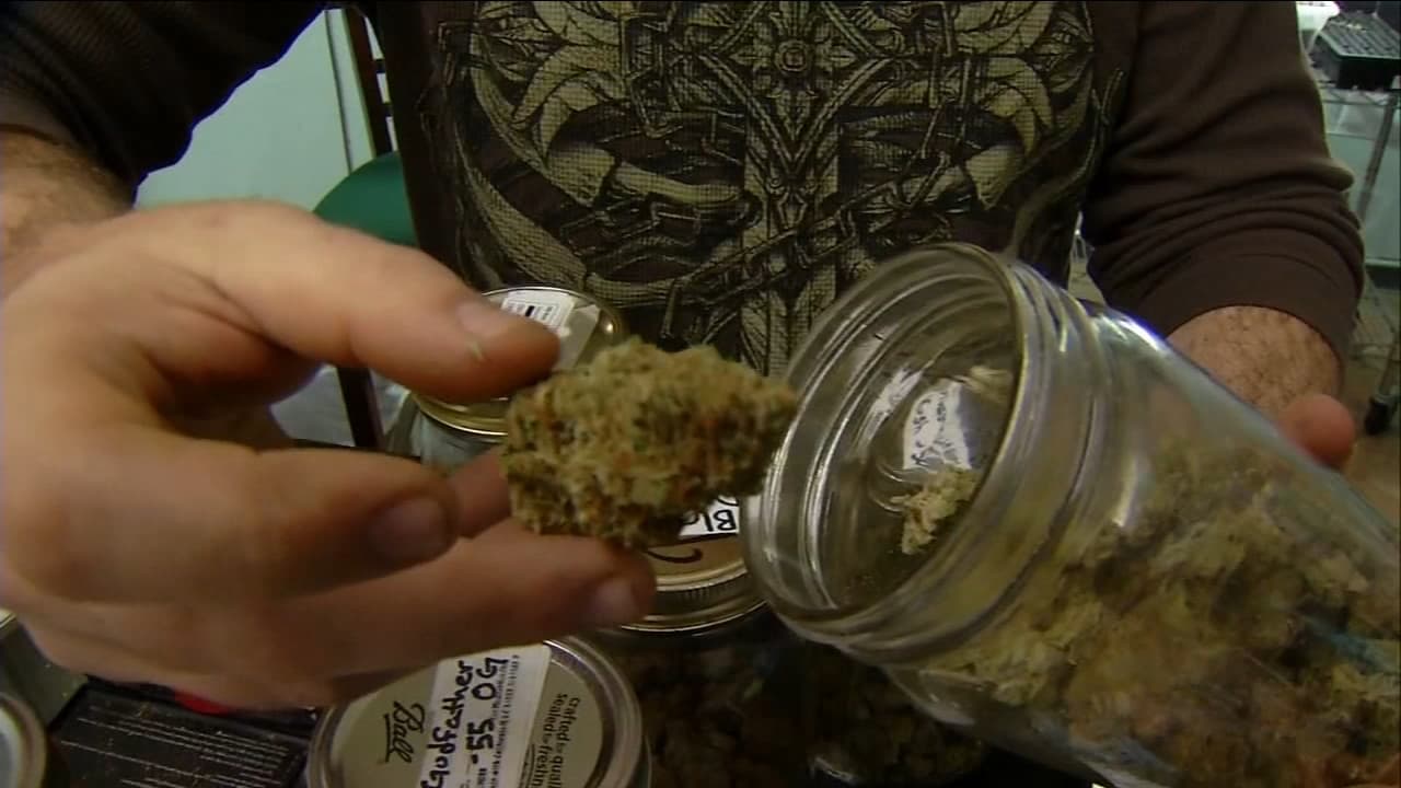 The Best Dispensary Near Me Open: Your Ultimate Guide to Finding Quality Cannabis